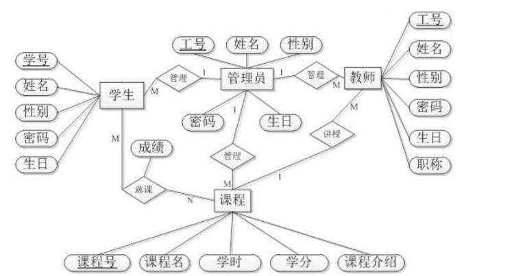 Java课程设计项目数据库设计（含实体类）