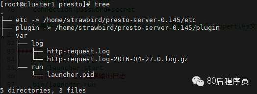 Facebook PrestoDB 配置指南