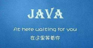 自学Java_超强干货来袭！让自学Java的伙计们进大厂不再迷茫~