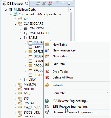 使用MyEclipse开发Java EE应用