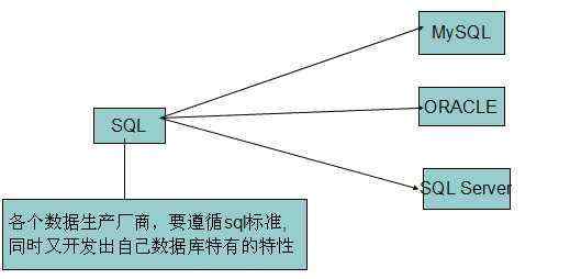 深入理解MySQL基础：SQL语言的应用与实践